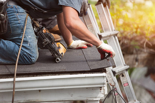 Best Roof Gutter Cleaning  in Pleasant Prairie, WI